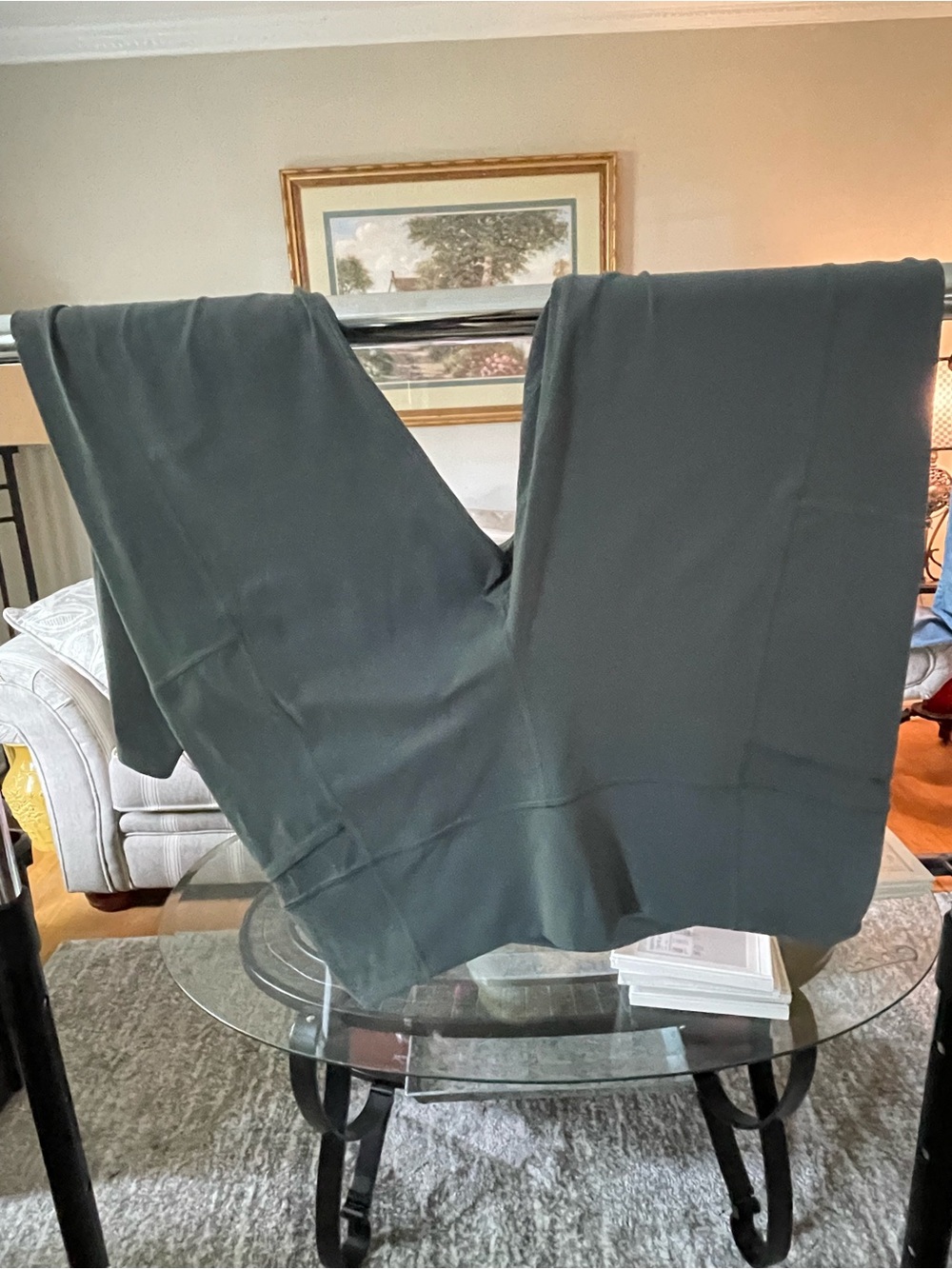 Patagonia Women's Wide-Leg Pants in Forest Green